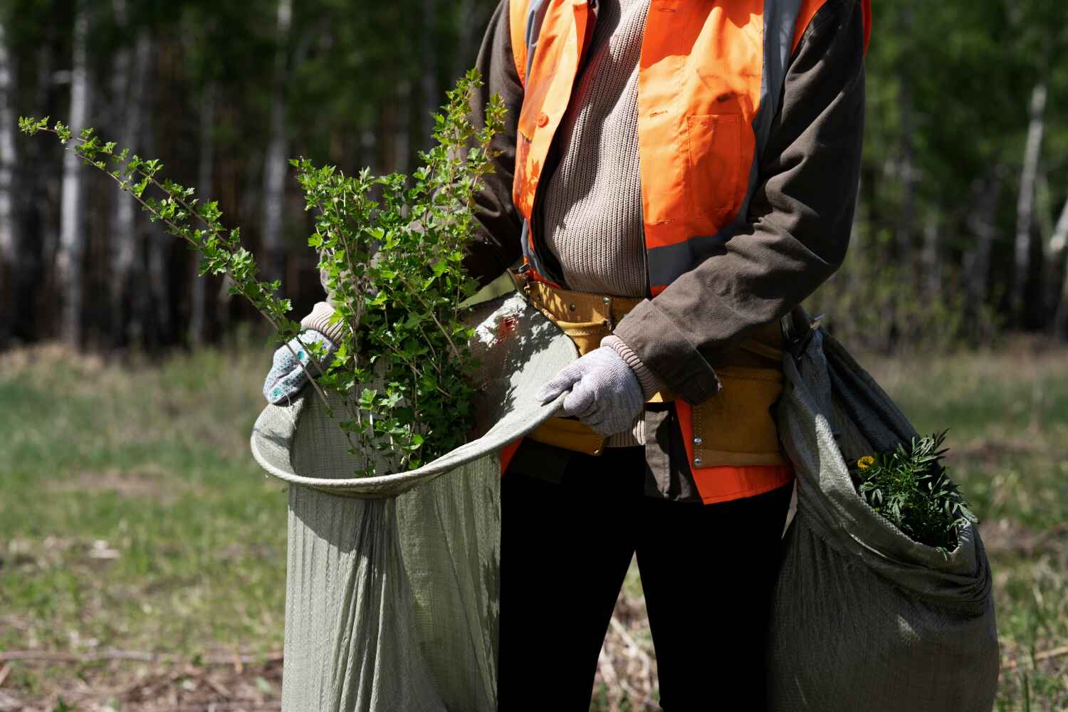  Wells Branch, TX TreeGuard Tree Service Pros